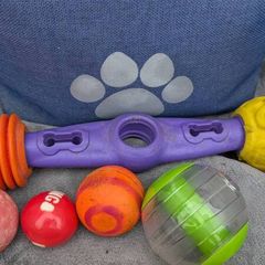 Dog Toy Bundle