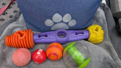 Dog Toy Bundle