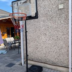 Basketball Net