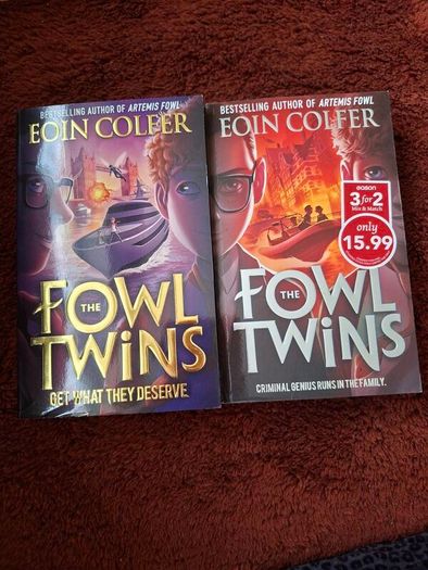The Fowl twins by Eoin Colfer