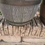 Plant Pots x 3 Image 2