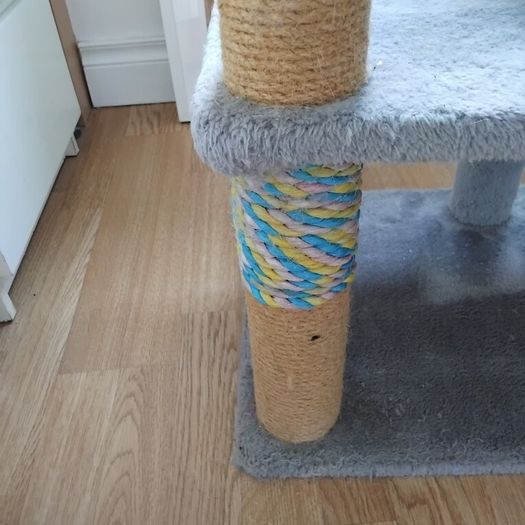 Cat Scrater and Play Lounge