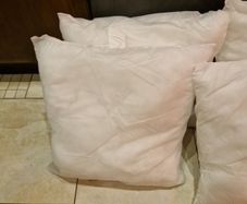Cushion inserts