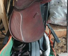 horse saddle