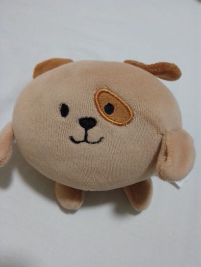 Teddy