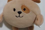 teddy