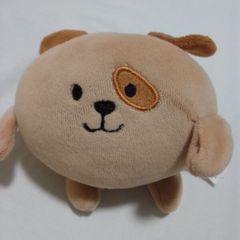 teddy