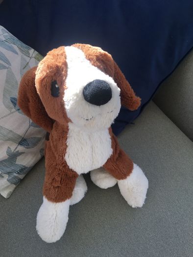 Cute soft toys dog