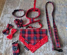 dog set