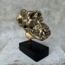 Gorilla Skull - Polished Bronze (Signed) Image 2