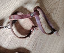 Cat Leash Set