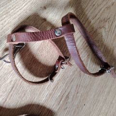 Cat Leash Set