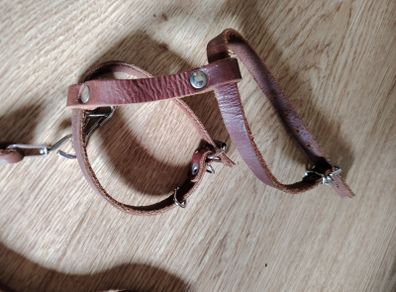 Cat Leash Set