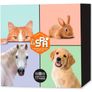 France 5 Euro Uncirculated Coin Set 2025 - Frances Favourite Animals (Cats, Dogs, Rabbits, Horses) Image 3