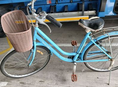 ladies bike