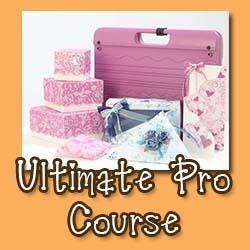 Ultimate Pro Introduction Course