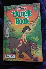 Ladybird Disney  (184)