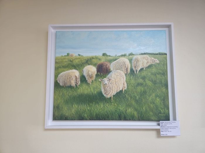 Original Oil Painting