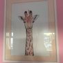 Kids prints and frames Image 4