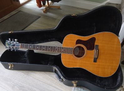 Gibson DSM