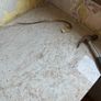 Marble countertop Image 2