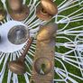 Vintage Brass Door Furniture Image 5