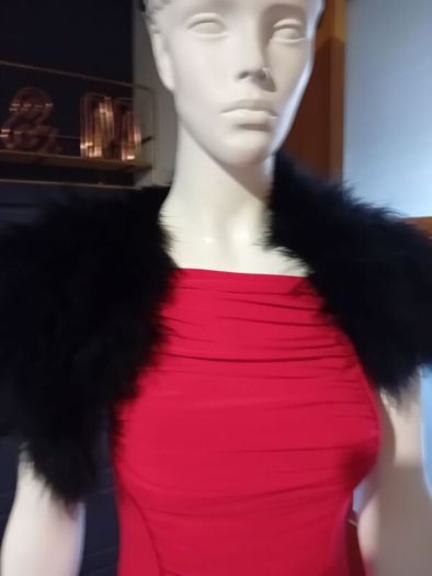 ladies dress