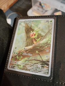 chespin pokemon chaos rising card