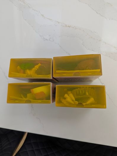 Set of 4 Human Biology box kits