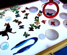 Learning light table