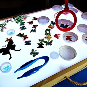 Learning light table