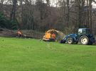 Johnson Tree Services Image 9