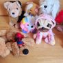 11 cute pups & dogs Image 2