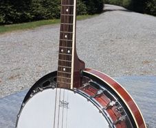 Tenor Banjo