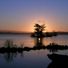 loughrea angler