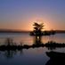 loughrea angler