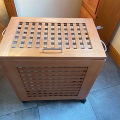 Laundry container with removable cloth