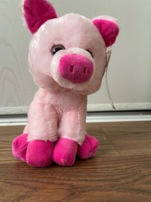Pig