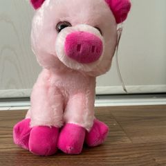 Pig