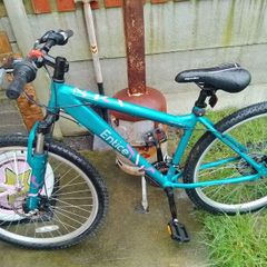 young adult bike