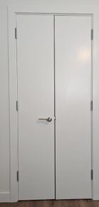 Double Door 80x32