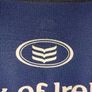leinster rugby jersey Image 7