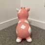 Bouncy Rubber Pig Image 3