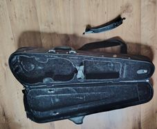 Violin