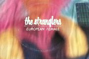 Punk Vinyl Single- The Stranglers - European Female
