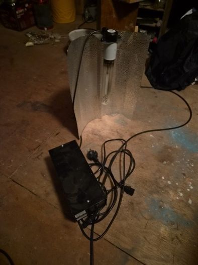 Black Orchid 600W HPS Grow Light Kit