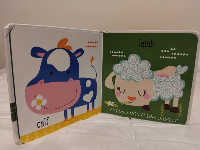 Petite Boutique Board Books x 4