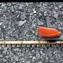 Echo HC-341ES Long Reach Trimmer Image 4