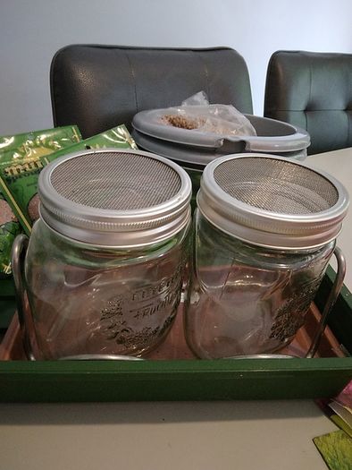 Sprouting