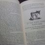 Book: Irish History You Weren't Taught in School Image 5
